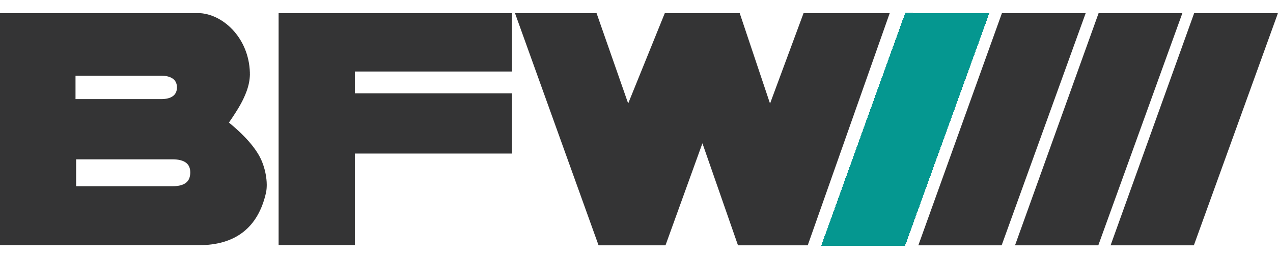 BFW Werner Völk GmbH